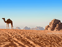 TRAVEL AND PEOPLE