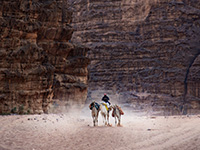 TRAVEL AND PEOPLE